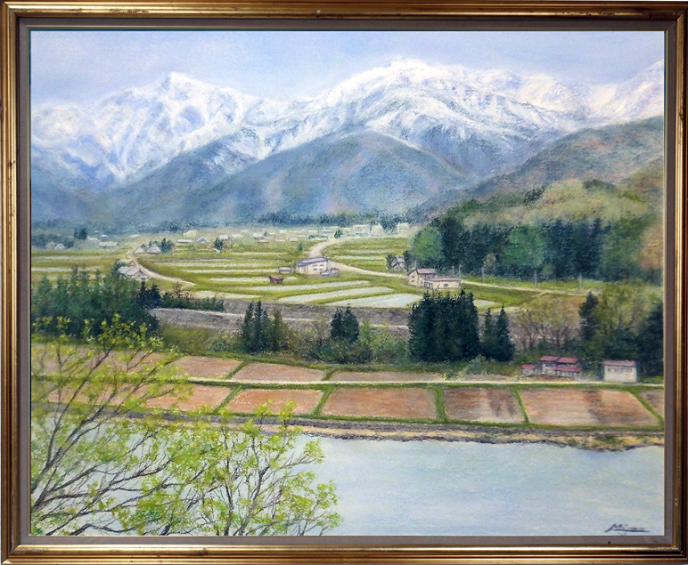 新緑の白馬山麓